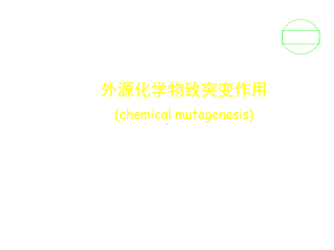 外源化学物致突变作用课件.ppt