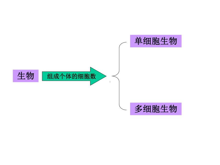 物种的多样性(浙教版七年级上册科学)课件.ppt_第2页