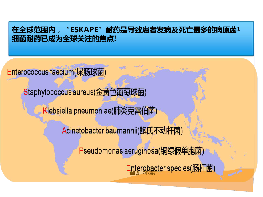 抗菌药物应用演示文稿新课件.ppt_第3页