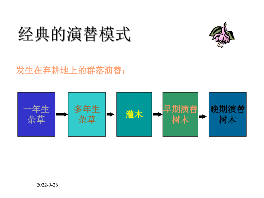 生态学群落生态学课件.ppt_第3页