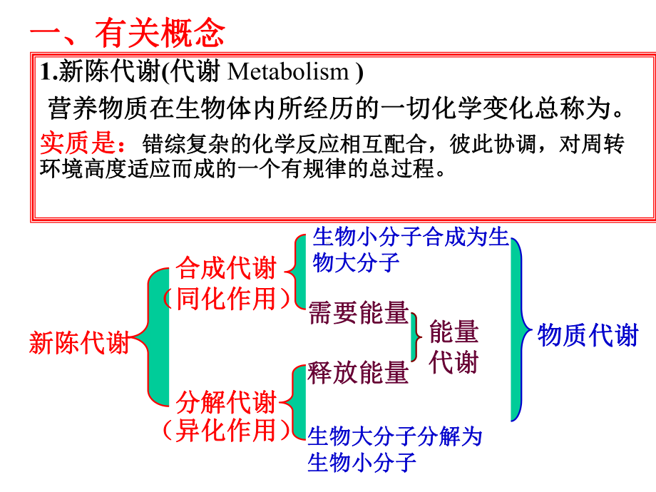 生物化学课件.pptx_第2页