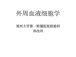 外周血液细胞学课件.ppt