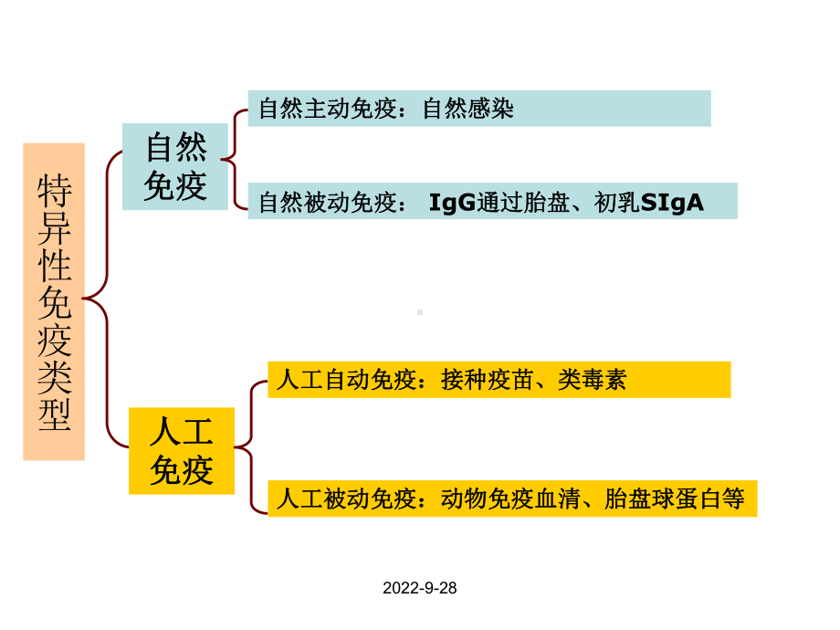 免疫学防治与诊断课件.ppt_第3页