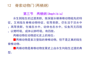 N脊索动物门两栖纲课件.pptx