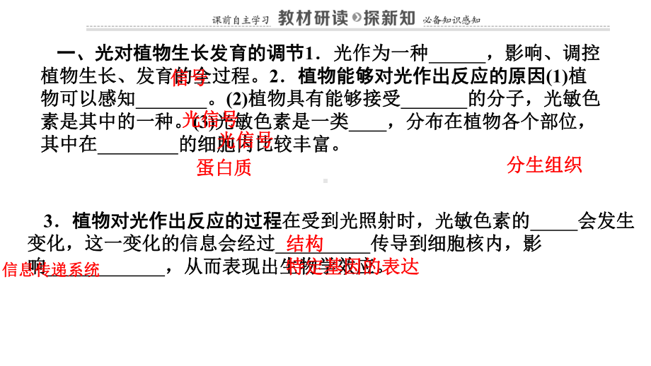 人教版生物选择性必修一54环境因素参与调节植物的生命活动课件.pptx_第3页