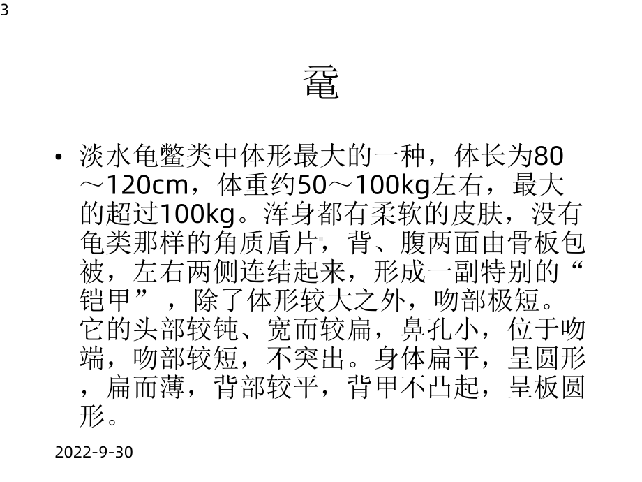 爬行动物得天独厚的生存环境课件.pptx_第3页