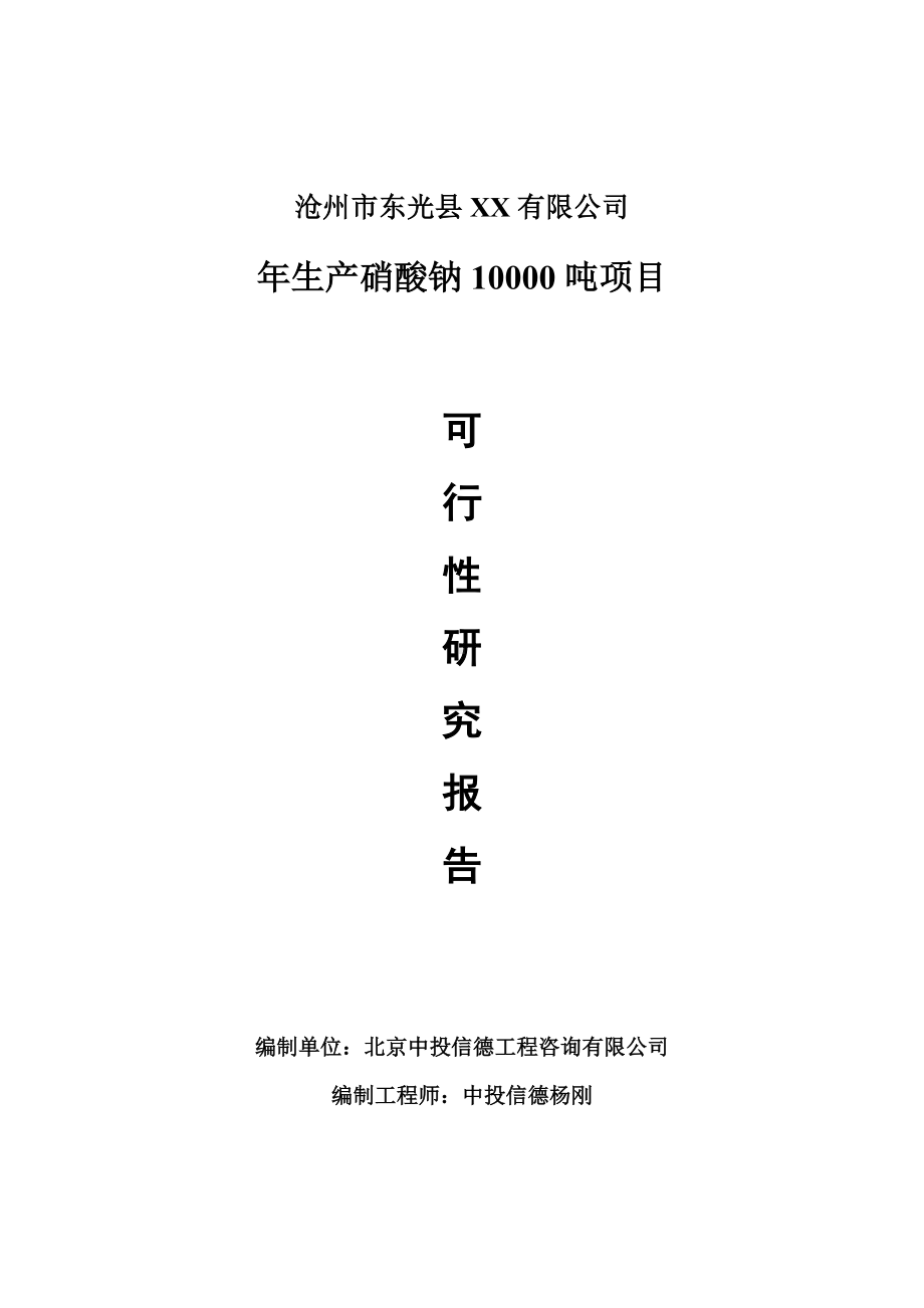 年生产硝酸钠10000吨项目可行性研究报告申请报告.doc_第1页