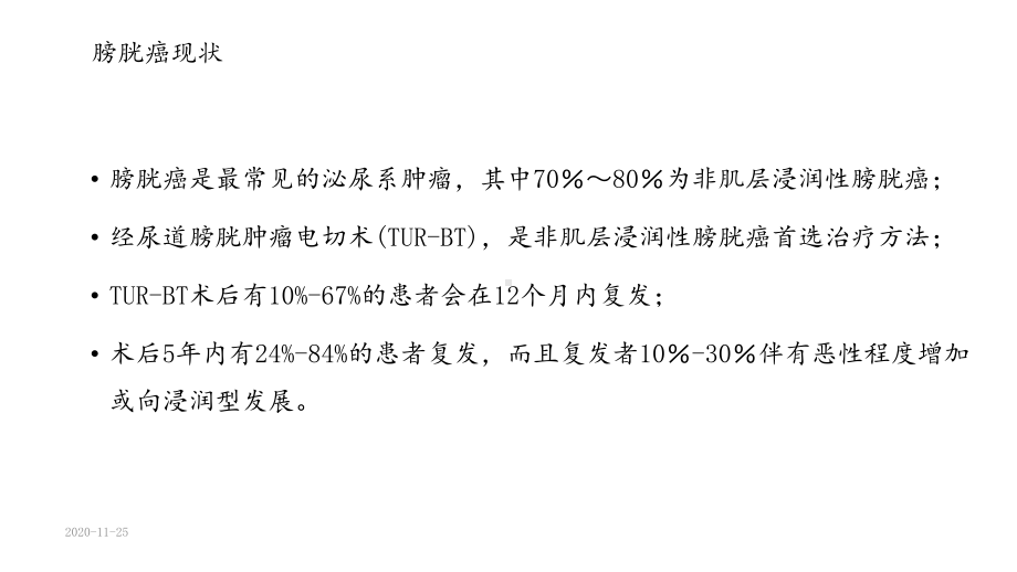 2020年吉西他滨在膀胱灌注中的应用(课件).ppt_第2页