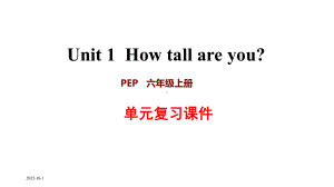 PEP人教版小学英语六年级下册期末复习课件(全册).ppt