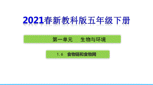 2021年新教科版五年级科学下册16《食物链和食物网》课件.ppt