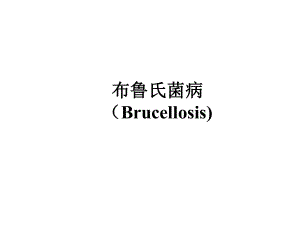 布鲁氏菌病(Brucellosis)课件.ppt