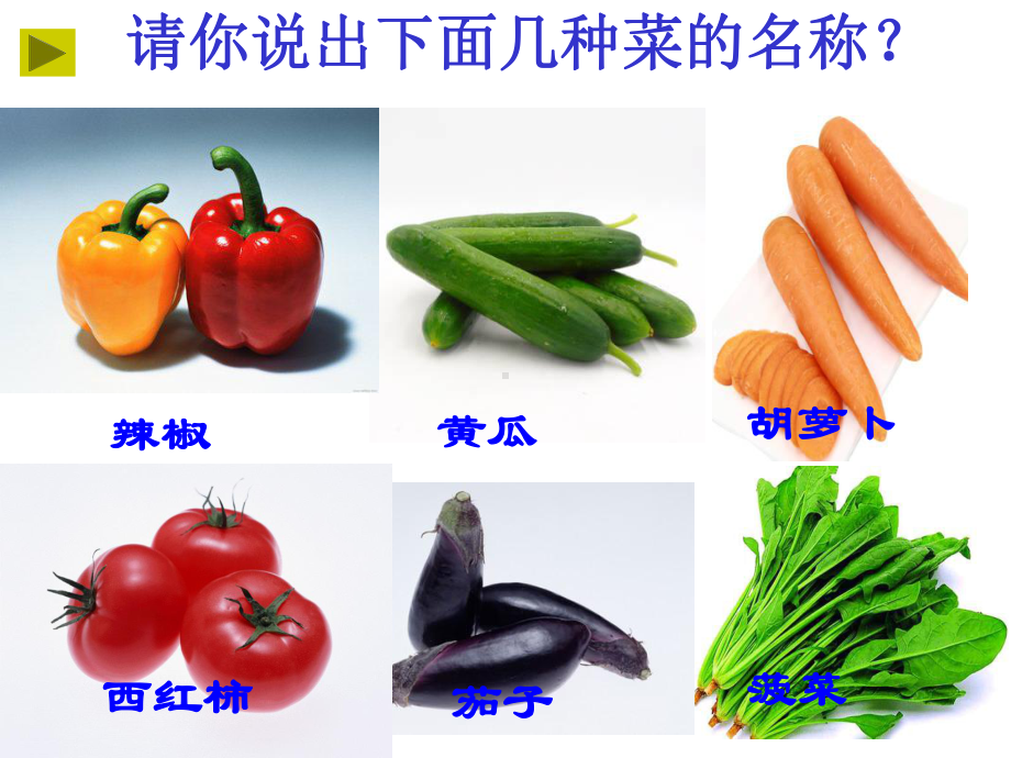 择菜洗菜和切菜课件.ppt_第3页