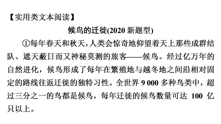 现代文阅读全解全练第4部分第1组课件.ppt_第3页