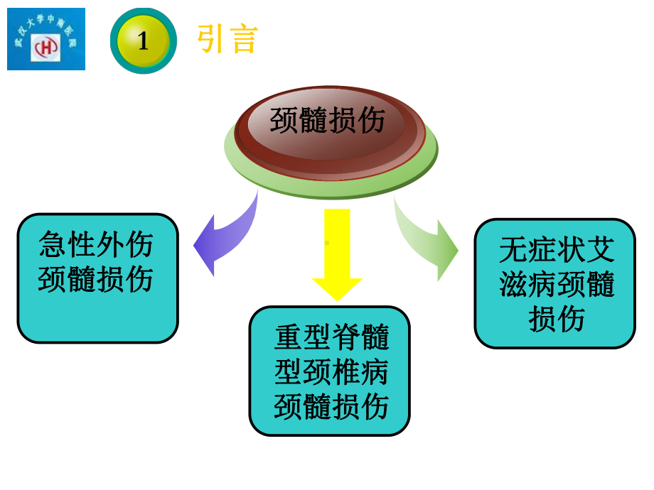 扩散张量成像在脊髓损伤中的应用精选课件.ppt_第3页