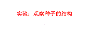 实验：观察种子的结构课件.ppt