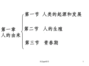 人的由来复习课件.ppt