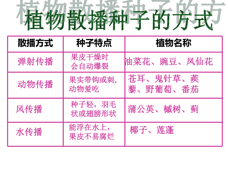 四级下册科学动物的繁殖活动课件.ppt_第2页