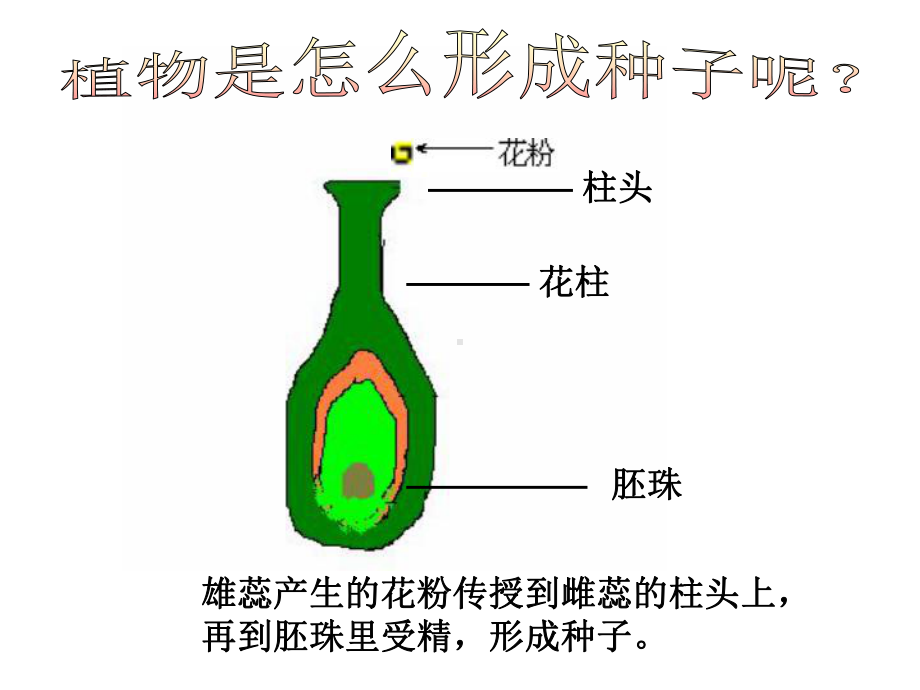 四级下册科学动物的繁殖活动课件.ppt_第3页