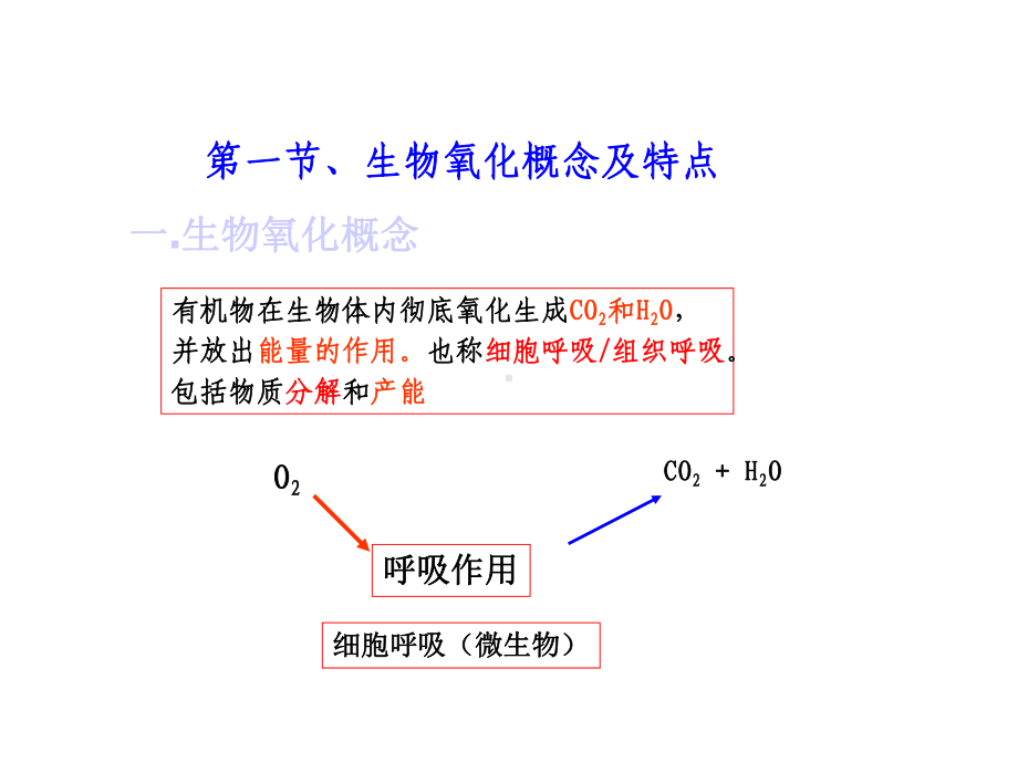 生化6第六章生物氧化课件.ppt_第3页