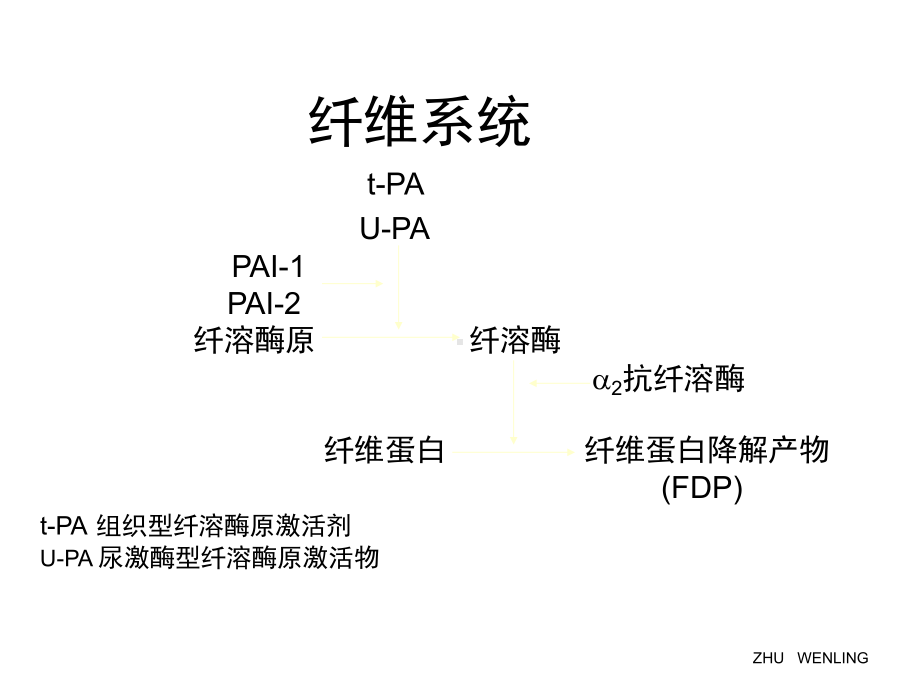 急性心肌梗死溶栓治疗课件.ppt_第2页