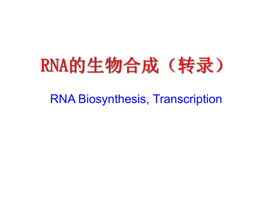 生物化学：RNA的生物合成(转录)课件.ppt_第1页