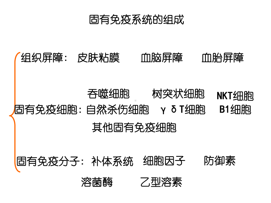 固有免疫系统及其应答性质课件.ppt_第3页