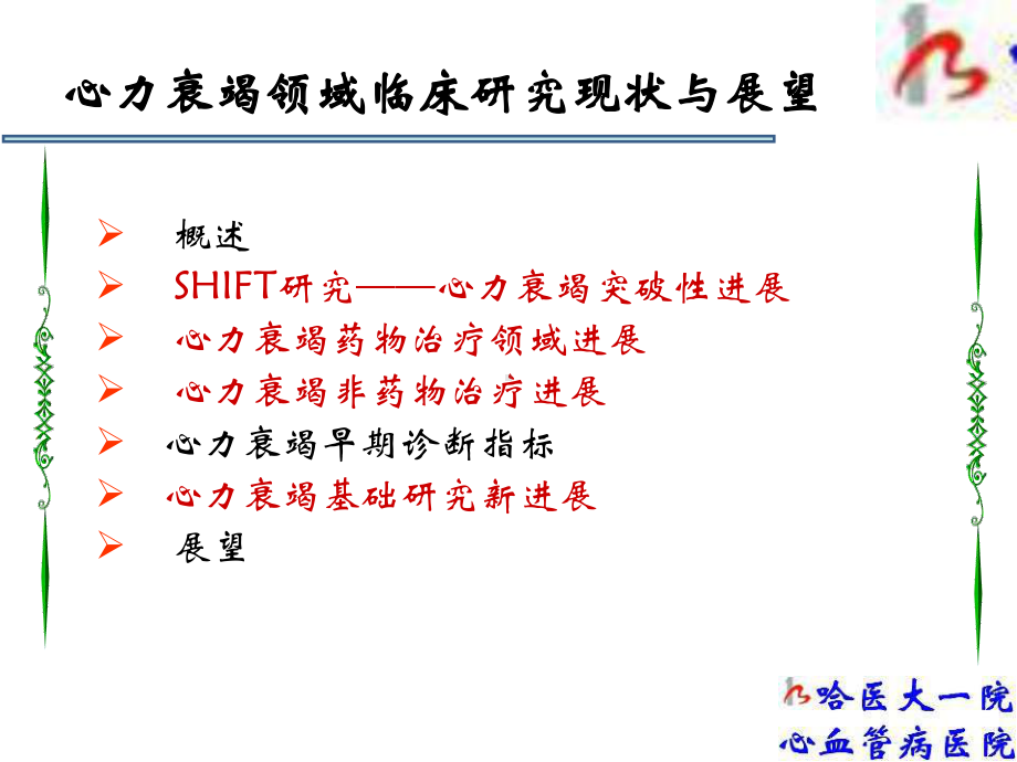 心力衰竭领域临床研究现状与展望-精选课件.ppt_第2页