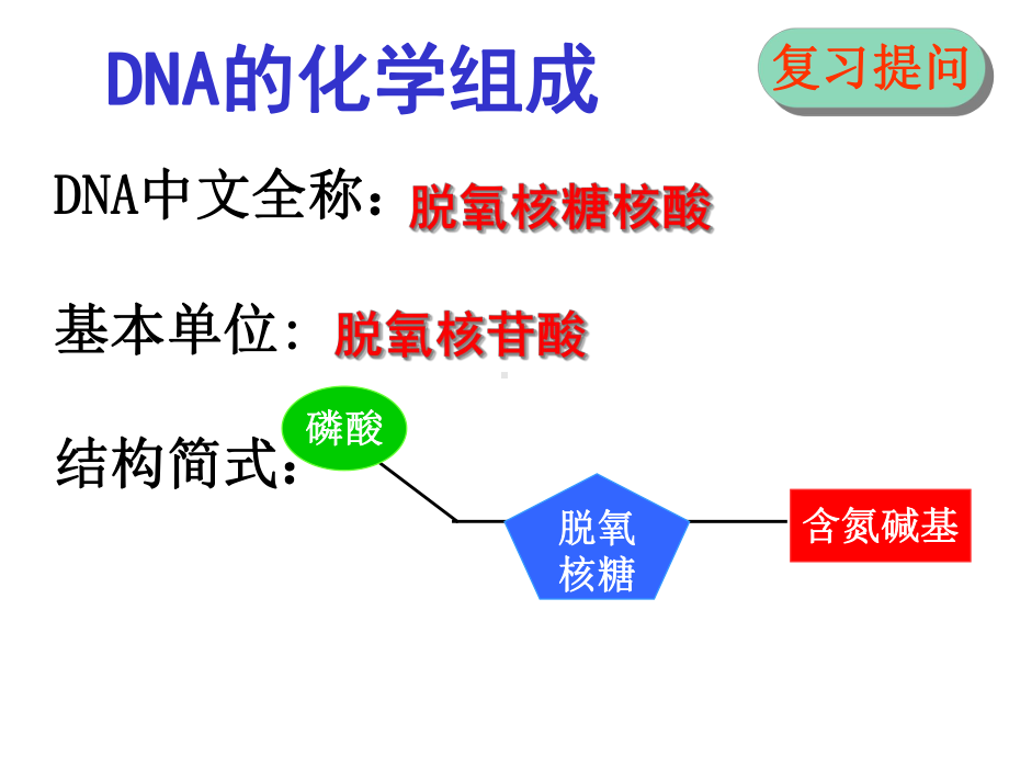 32DNA分子的结构一等奖优秀课件.ppt_第2页