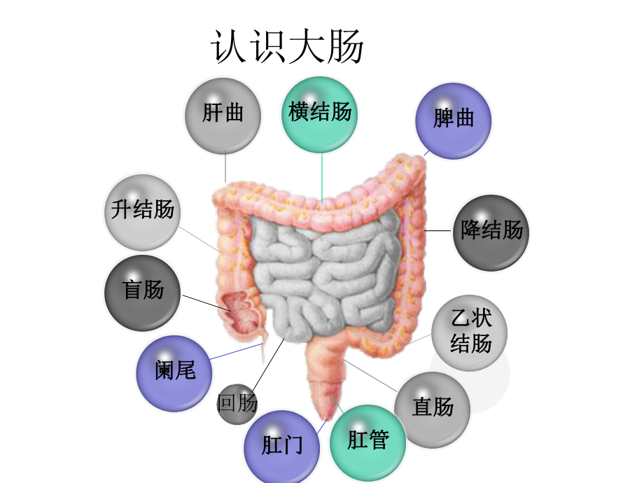 大肠癌预防与早期发课件.ppt_第2页