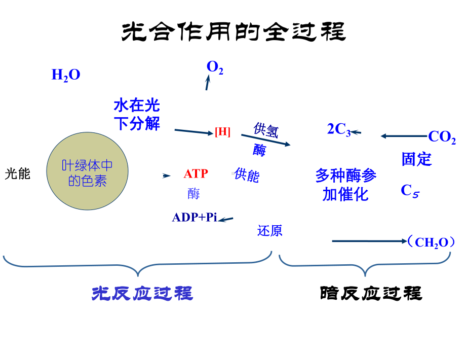 人教版必修一光合作用的过程和影响因素共58张课件.ppt_第3页