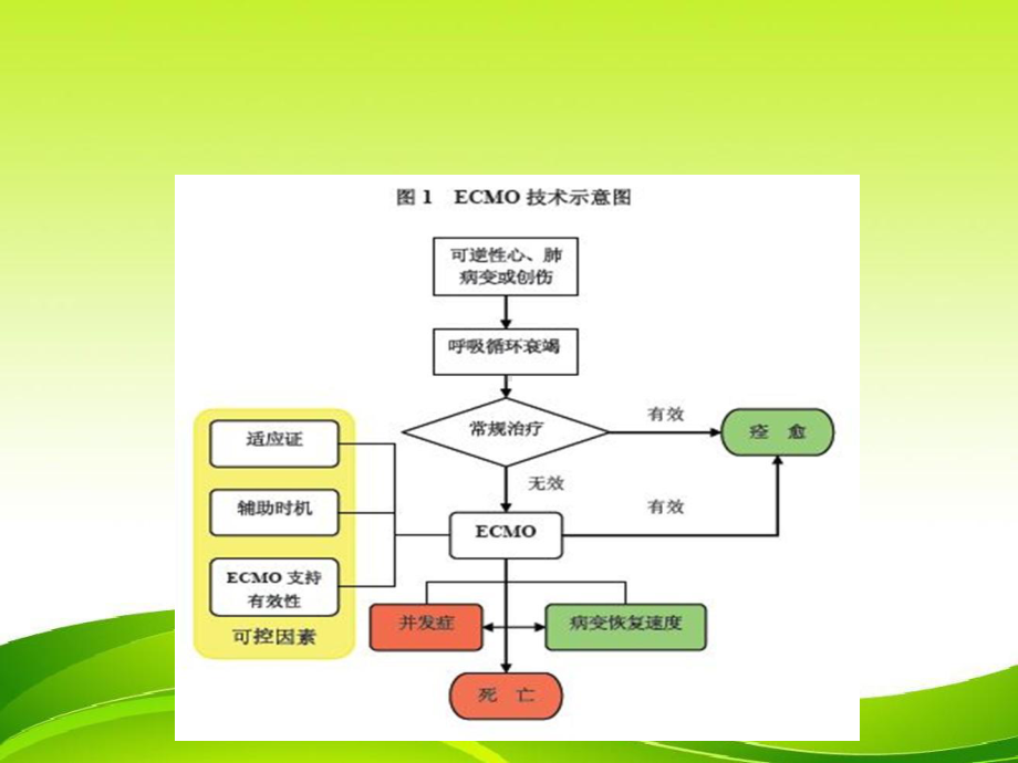 体外膜肺氧合护理要点课件.ppt_第2页