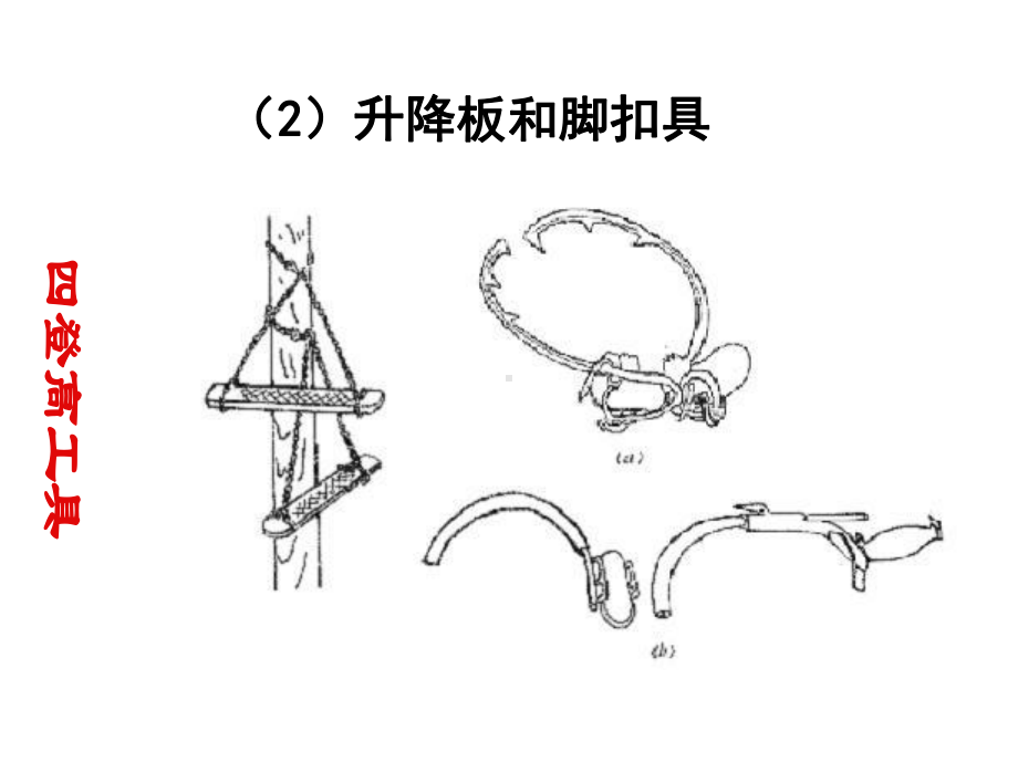 电气安全技术(电工登高作业用品)课件.ppt_第3页