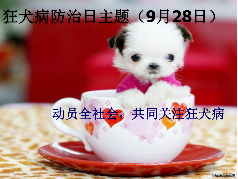 狂犬病防治知识课件.ppt_第2页