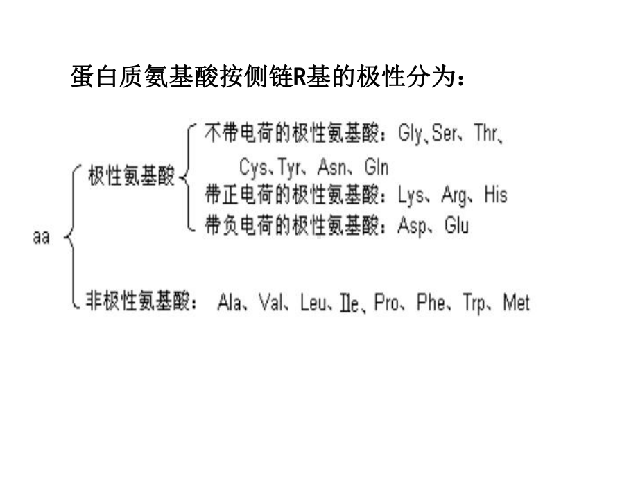 生物化学知识点总结课件.ppt_第3页