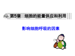 影响细胞呼吸的因素课件.ppt