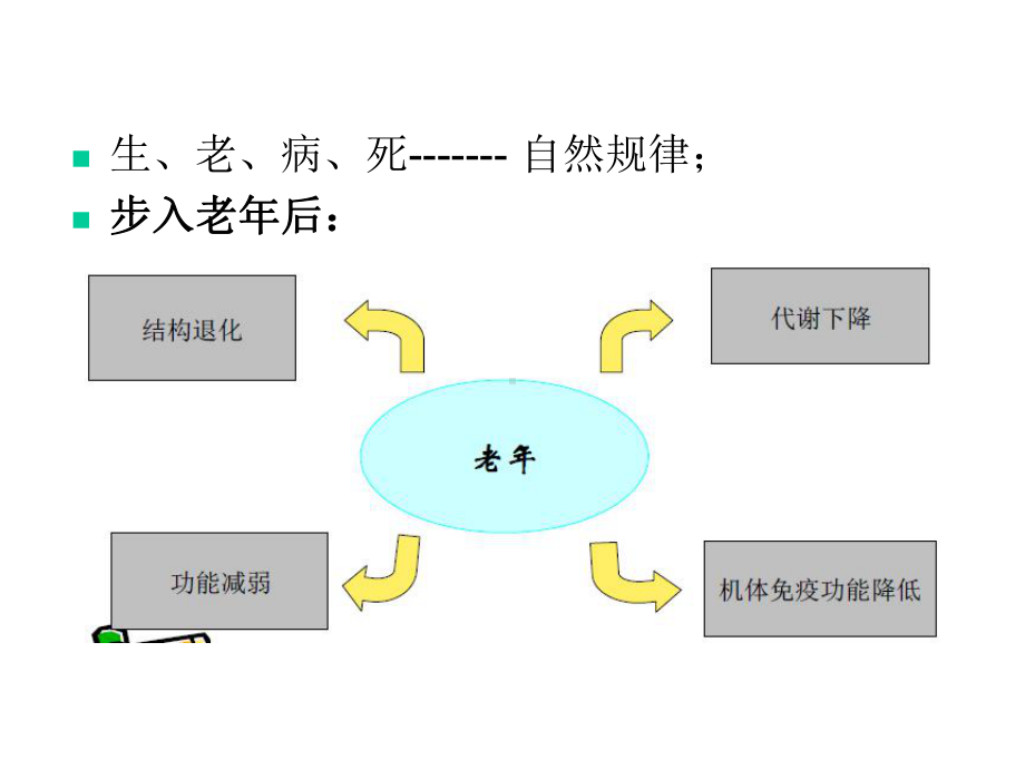 抗衰老的功能性食品课件.ppt_第3页