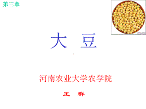 大豆栽培学课件.ppt