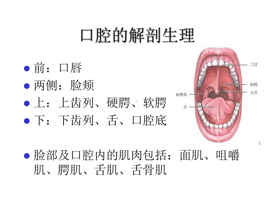 吞咽困难的评定与康复课件.ppt_第3页