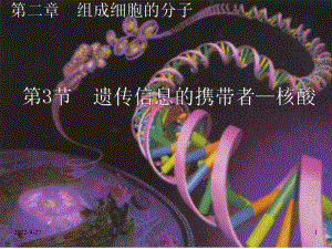 23遗传信息的携带者核酸课件.ppt