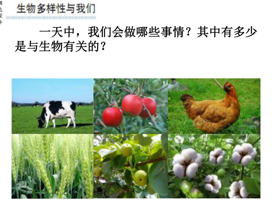 生物多样性的意义课件.ppt_第3页