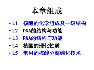 CH核酸的结构与功能课件.pptx