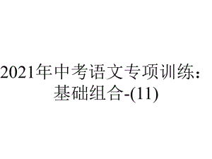 2021年中考语文专项训练：基础组合(11).pptx