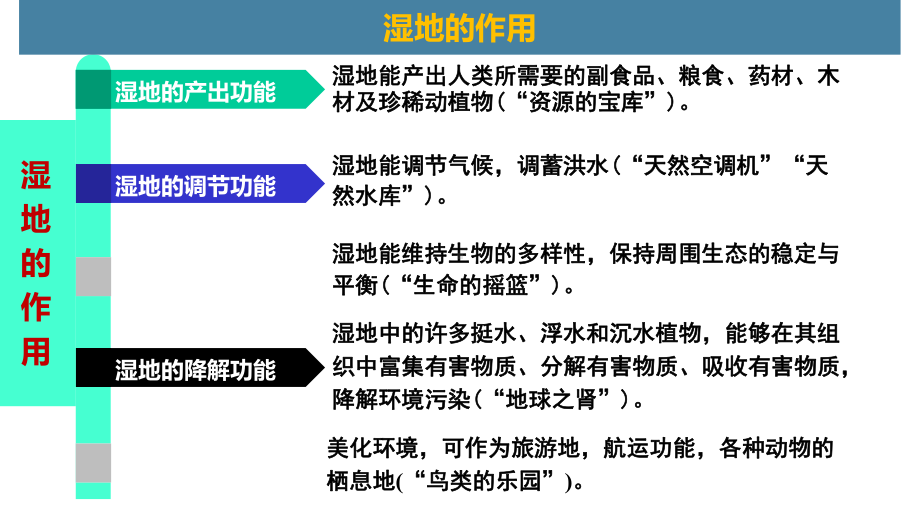 2020届高三地理二轮专题：湿地沼泽(共42张)课件.pptx_第3页