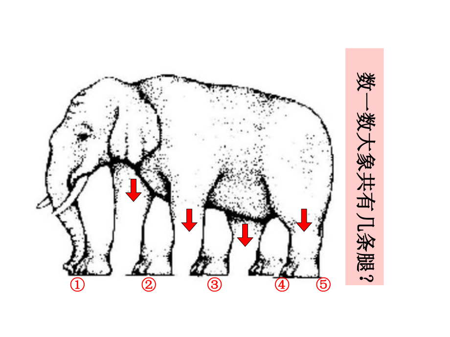 六年级下册美术第16课奇妙的图形苏少版课件.ppt_第1页