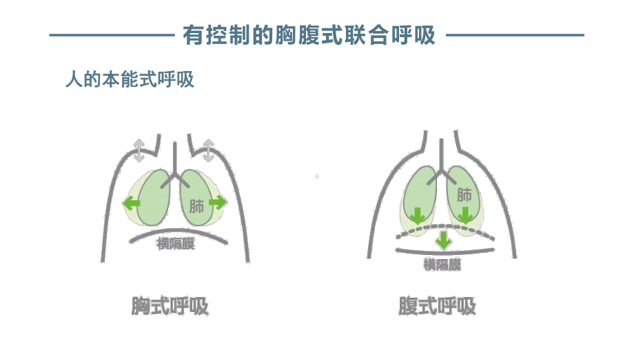 教师通用口语技能训练：呼吸调整训练课件.pptx_第3页