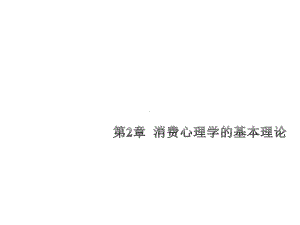 消费心理学的基本理论课件.ppt