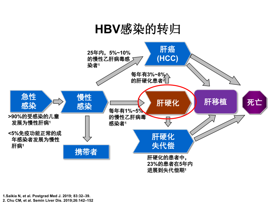 慢性乙肝肝硬化临床治疗新进展0225课件.ppt_第3页