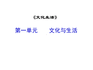 2021年高考政治一轮复习课件：文化生活第一课文化与社会.ppt