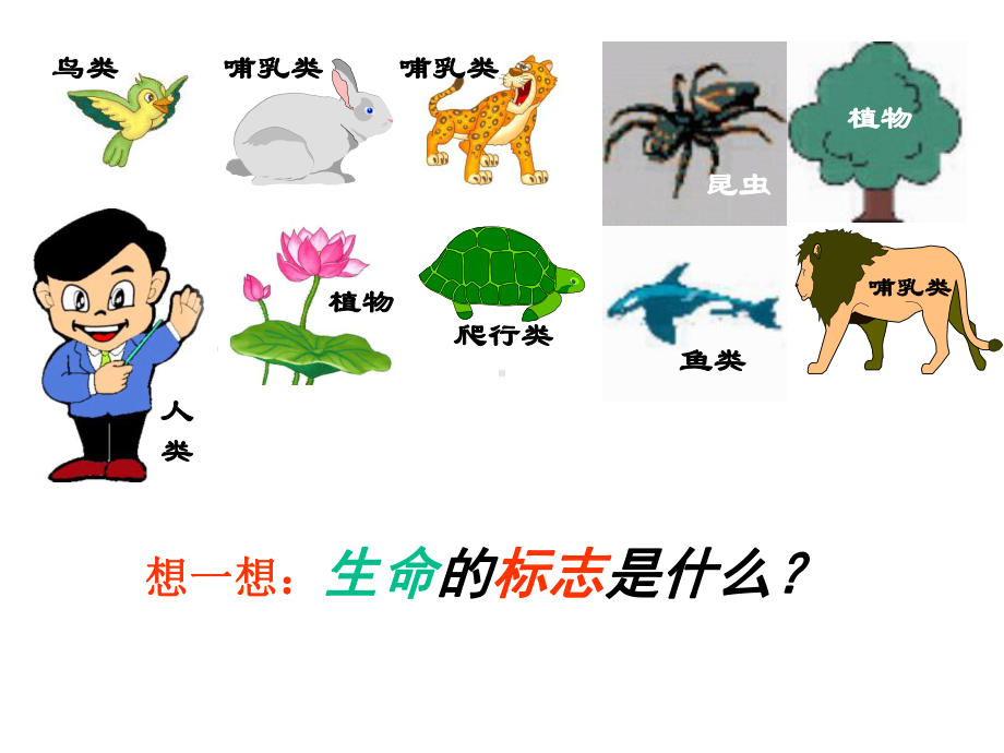 生物的新陈代谢课件.ppt_第2页