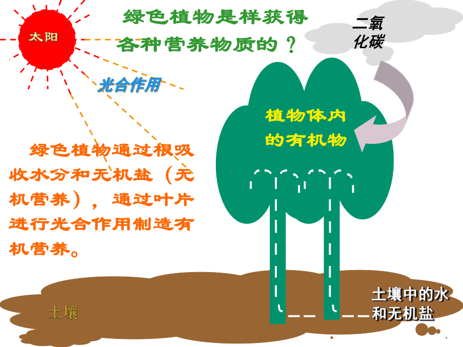 生物的新陈代谢课件.ppt_第3页